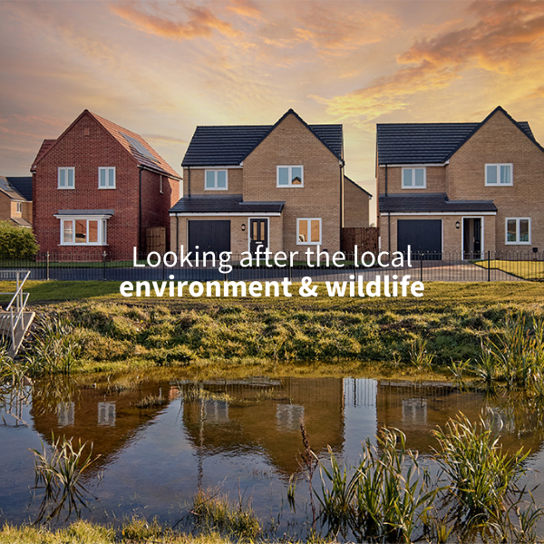 How do housebuilders protect the environment when building?